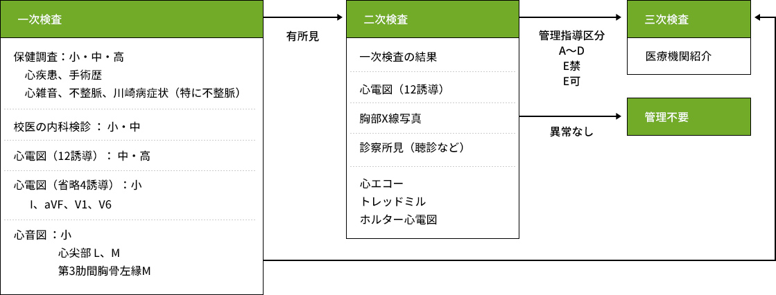 心臓検診の流れ